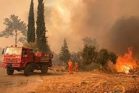 Požari na jugu Evrope: Hiljade evakuiranih u Grčkoj i Turskoj, u Italiji se ugušile dvije osobe