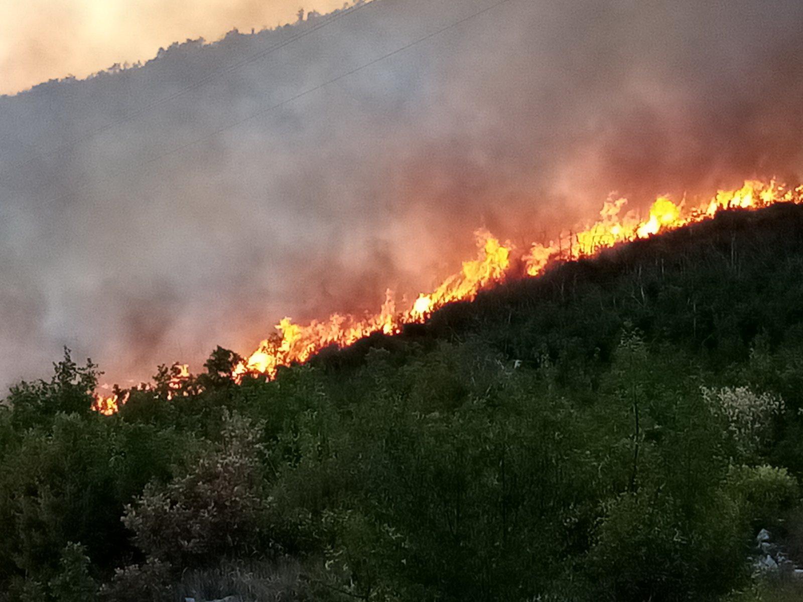 Gori nisko rastinje u okolini Trebinja - Avaz