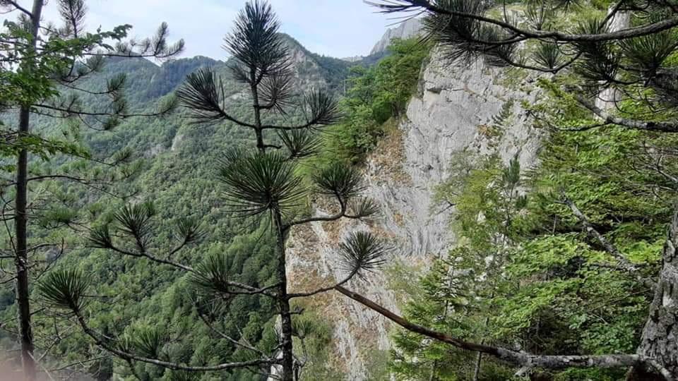 U akciji učestvovalo desetak spasilaca - Avaz