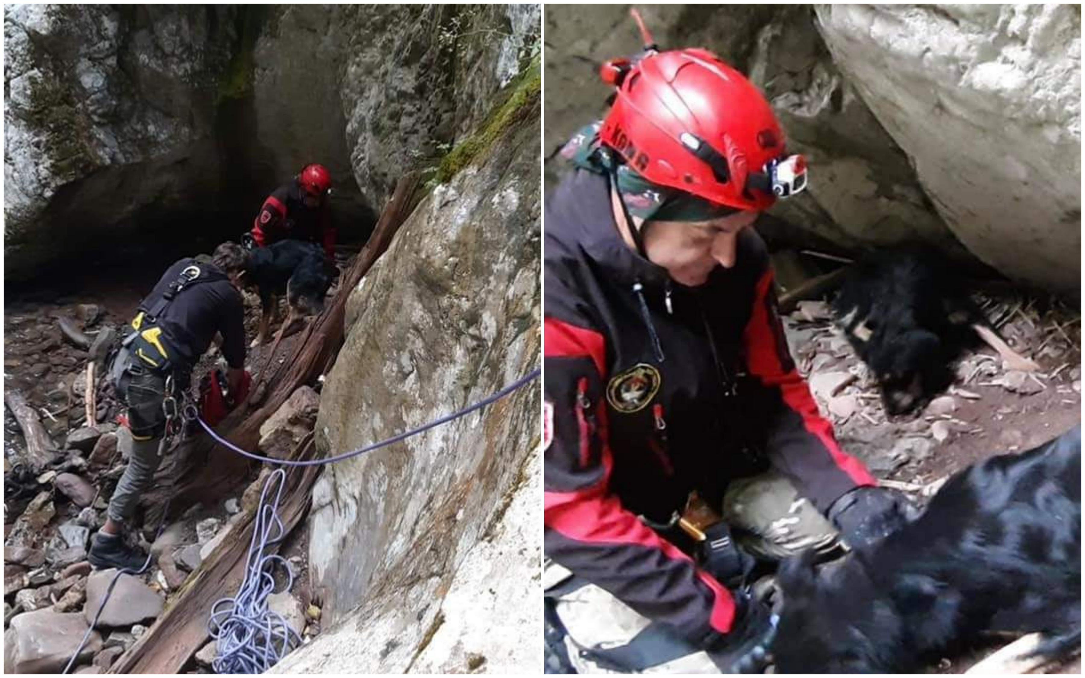 Spasioci u prašumi Perućica šest sati spašavali izgladnjele pse: Izvukli ih iz jame duboke nekoliko metara