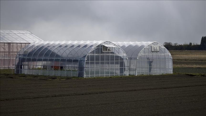 A farm is seen in Namie city, in Fukushima Prefecture, Japan - Avaz