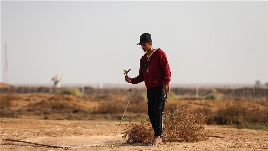 Palestinci preživljavaju hvatajući ptice