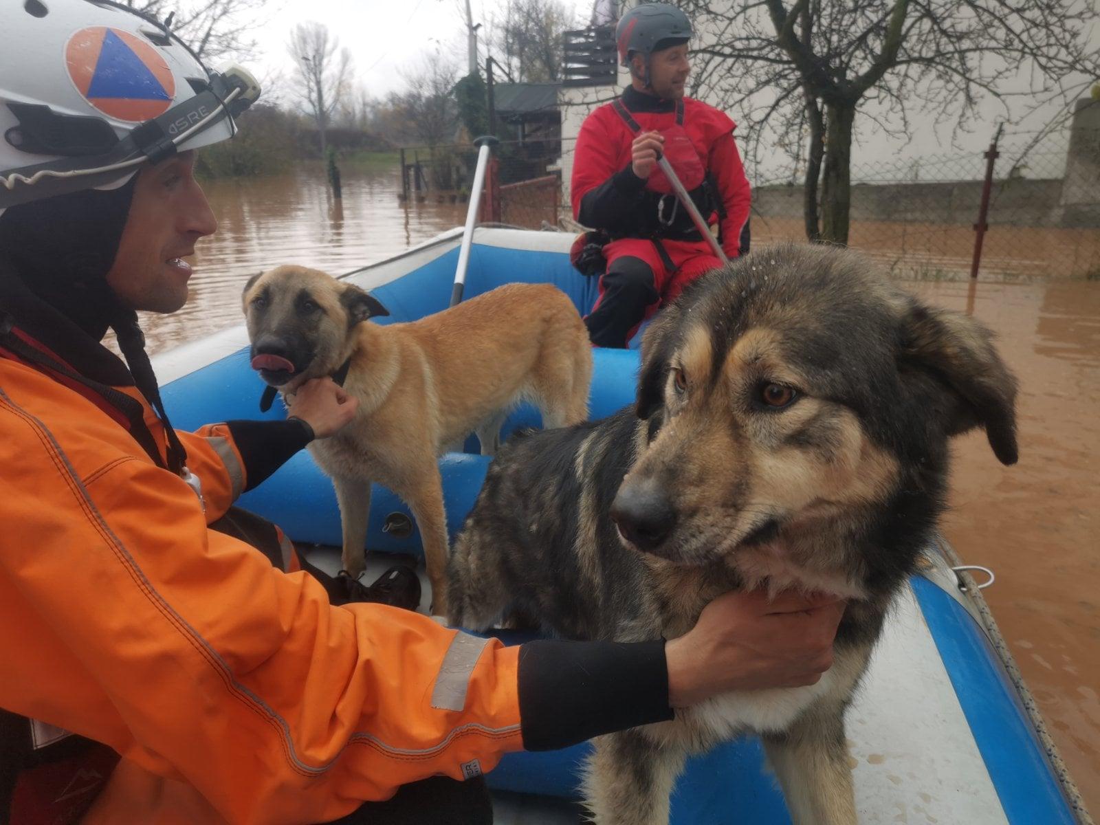 Pripadnici FUCZ-a evakuiraju životinje - Avaz