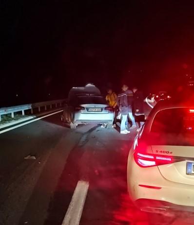 Nesreća na autoputu A1: Vozilo ponovo naletjelo na krdo divljih svinja