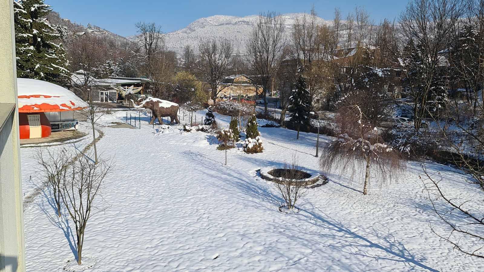 Životinje iz Pionirske doline dobro podnose velike minuse