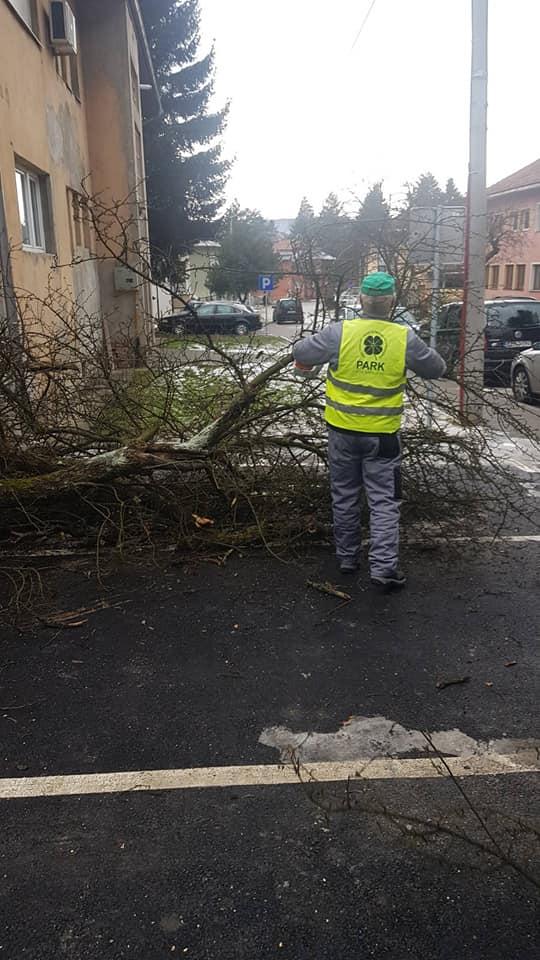 Ekipe "Parka" bile ne terenu - Avaz