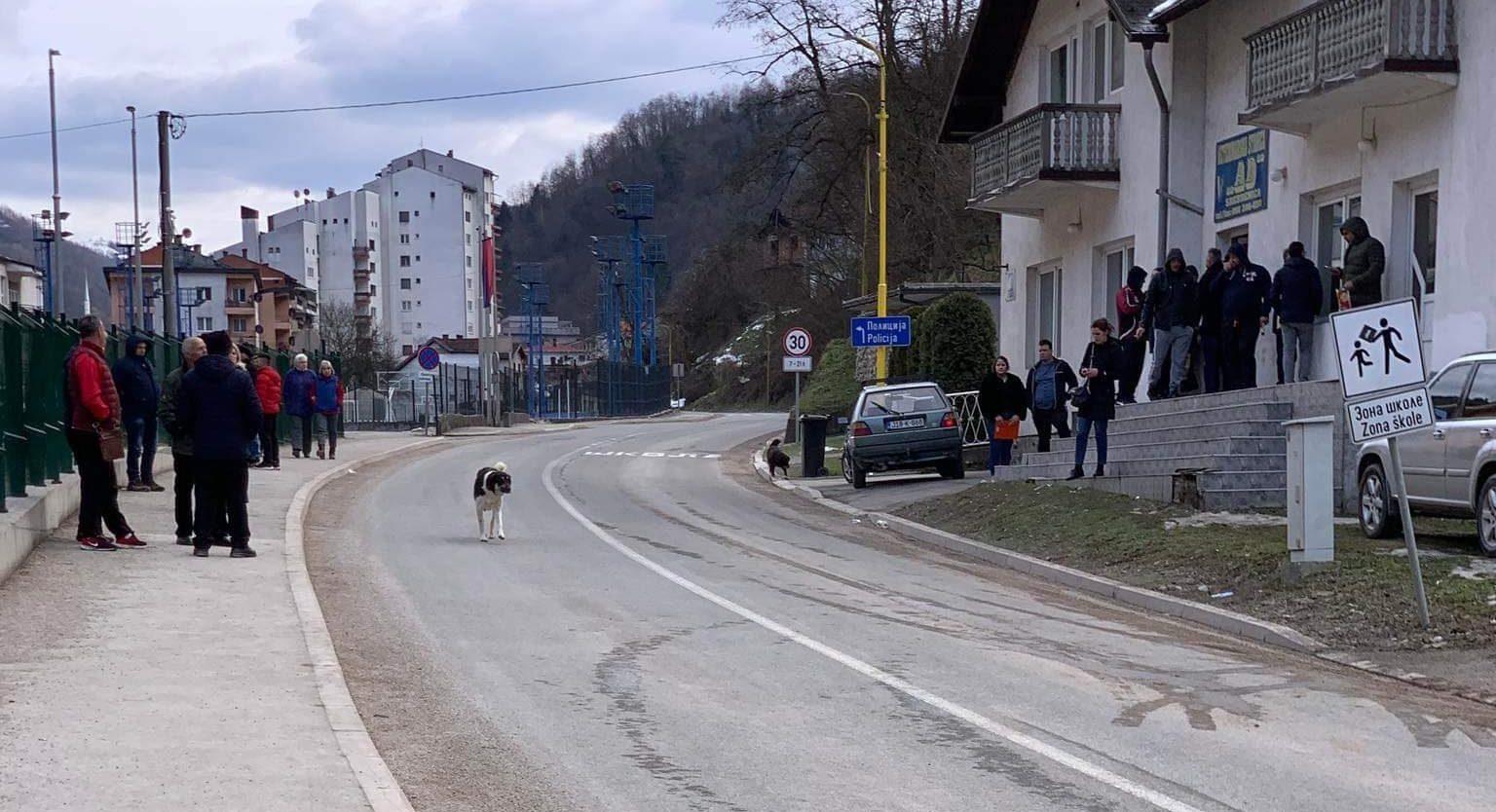 Ljudi su čekali ispred Veterinarske stanice - Avaz