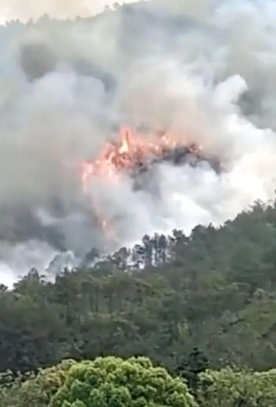 Dim nakon što se avion srušio - Avaz