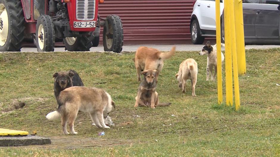 Povrede je zbrinula dežurna ekipa dječjih hirurga - Avaz