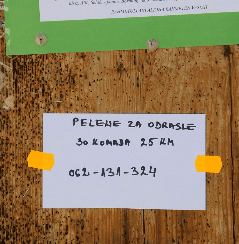 Oglas za prodaju pelena za odrasle okačen uz obavijesti o dženazama umrlih na ulazu u džamiju