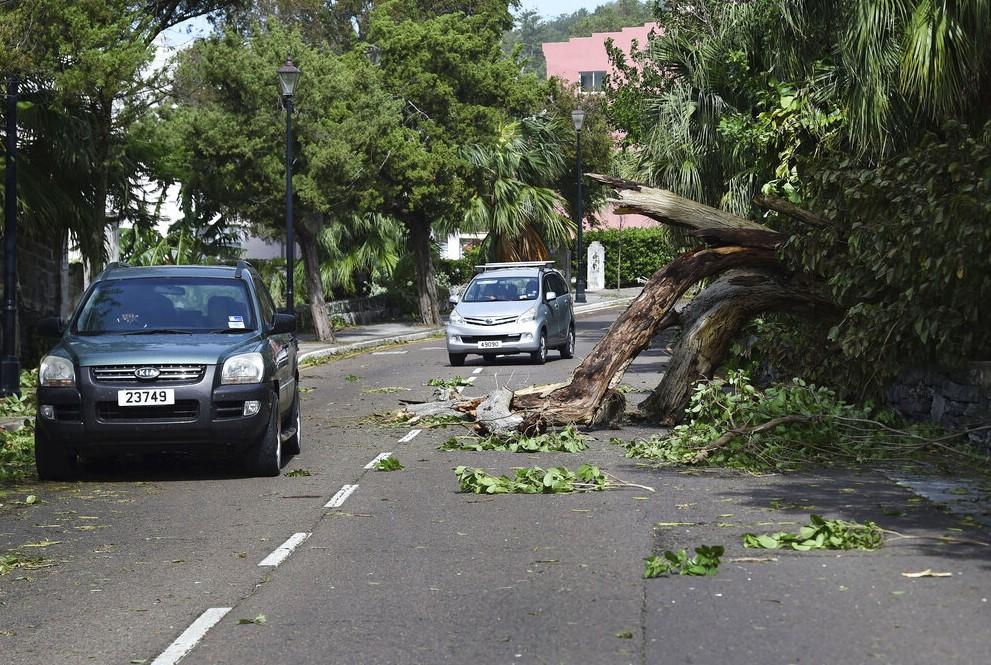 Vozila voze oko stabala koje je oborio uragan Fiona, u Hamiltonu, Bermuda - Avaz