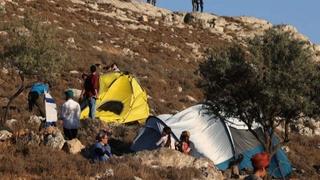 Skoro 600 incidenta koje su izazvali izraelski doseljenici na palestinskoj teritoriji