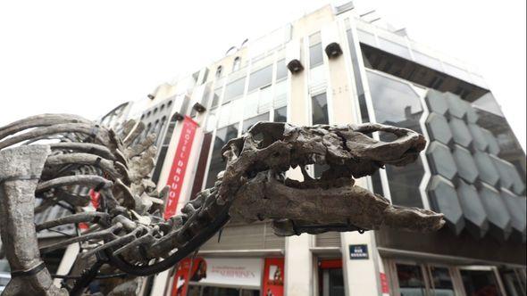 Kostur dinosaurusa izložen u Parizu - Avaz