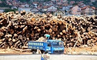 Visoke cijene pomjerile rokove: Potražnja za ogrjevom raste