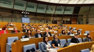 Delegacija PSBiH u Rimu na sastanku Konvencije za jačanje Centralnoevropske inicijative