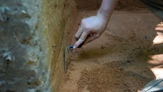 Archaeologists in Louisiana save artifacts 12,000 years old from natural disasters and looters