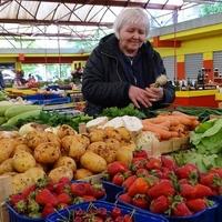 Temperaturni šokovi već ostavljaju trag na prinosima: Narod voće i povrće kupuje za marku