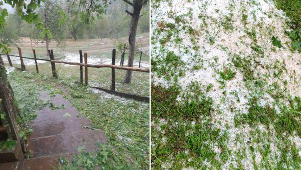 Nevrijeme uništilo usjeve i voće - Avaz