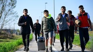 OIM: Broj migranata jedino u BiH na Balkanu opada