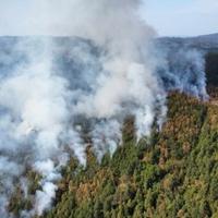 Veliki požar kod Maglaja: Traži se i pomoć helikoptera Oružanih snaga BiH