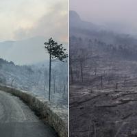 Evo kako izgleda Park prirode Biokovo nakon velikog požara