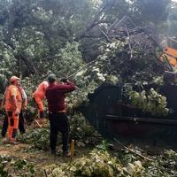 Nakon olujnog nevremena pune ruke posla za gračaničke komunalce: Štete će procijeniti komisija