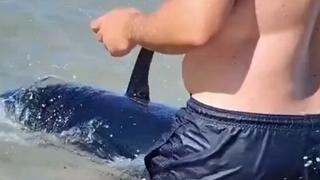 Video / Prestravljeni kupači izletjeli iz vode kad su vidjeli peraja u plićaku