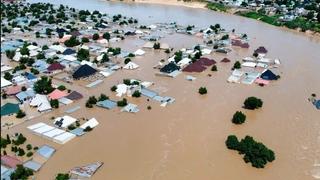 Velike poplave u Nigeriji: Na ulicama krokodili i zmije