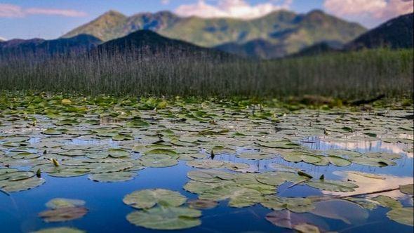  Skadarsko jezero - Avaz