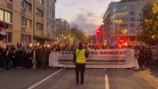 U Ženevi se okupilo nekoliko hiljada ljudi na protestu podrške Palestini