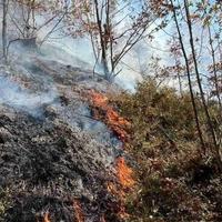 Upozorenje da nije dozvoljeno loženje otvorene vatre u šumama i na šumskom zemljištu
