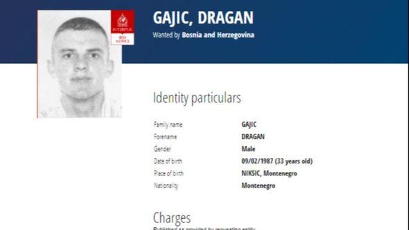 DRAGAN GAJIĆ - Avaz