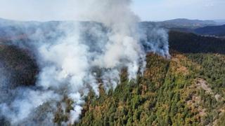 Veliki požar kod Maglaja: Traži se i pomoć helikoptera Oružanih snaga BiH