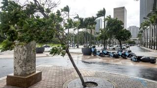 Uragan Debby izbacio na plažu na Florida Keysu kokain vrijedan više od milion dolara