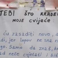 Žena ostavila poruku kradljivcu cvijeća: "Samo da znaš, kod tebe nikad neće cvjetati i biti lijepo kao kod mene"