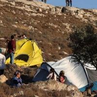 Skoro 600 incidenta koje su izazvali izraelski doseljenici na palestinskoj teritoriji