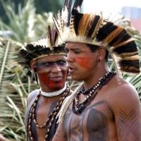 Pleme u Brazilu dobilo internet, pa se navuklo na pornografiju