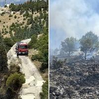 Mostarski vatrogasci se oglasili: Ne možemo shvatiti kome je u cilju da uništi i ovo malo zelenila što je ostalo