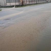 Nevrijeme pogodilo Cazin i Krajinu: Poplavili objekti i putevi