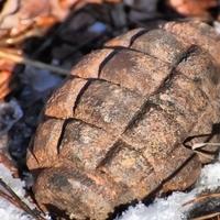 Čistile grobno mjesto u Hrvatskoj pa pronašle bombe i streljivo