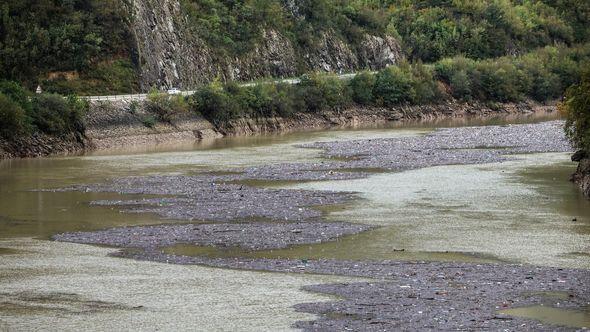 Neretva - Avaz