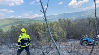 S ciljem sprečavanja požara, Sjeverna Makedonija zabranila kretanje šumama: Kazne i do 2.000 eura