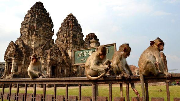 Lopburi - Avaz