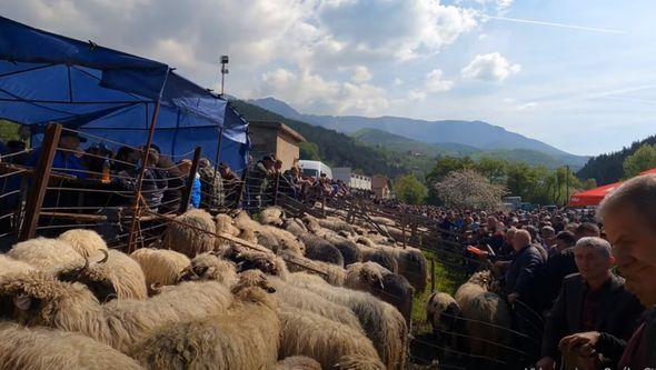 Tradicionalni stočni sajam - Avaz