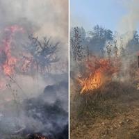 Izbio požar između Breze i Ilijaša: Vatrogasci na terenu, sumnja se na ljudski faktor