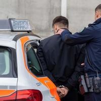 Maloljetnička banda hara švicarskim gradom, uhapšeni dječaci iz BiH i Srbije