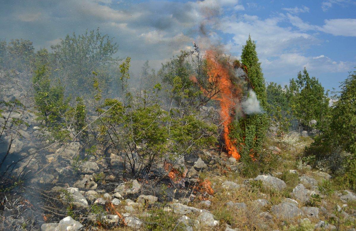 Makedonija: Požari u centralnom dijelu zemlje pod kontrolom