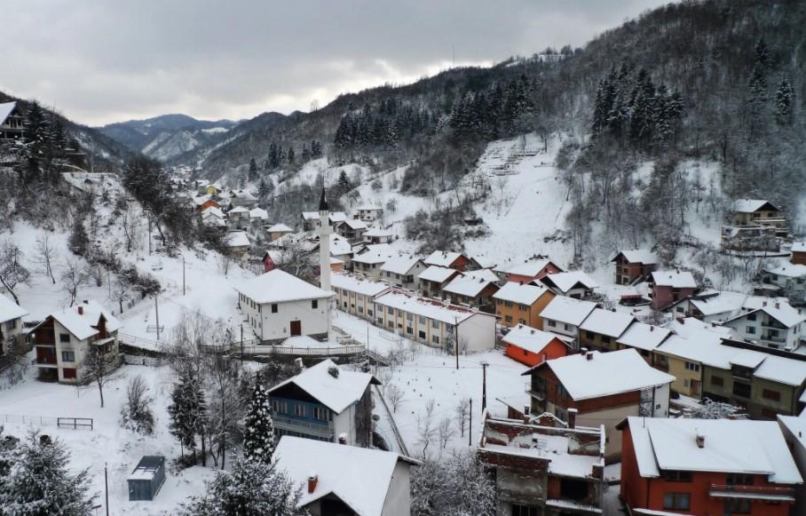 U proteklih deset godina posađeno više od 2,5 miliona sadnica