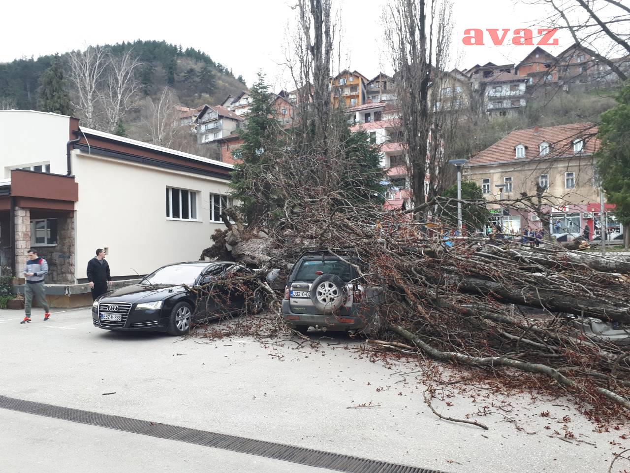 Drvo oštetilo tri automobila u Zvorniku