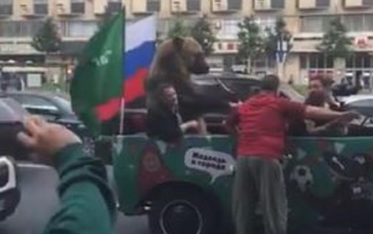 Samo u Rusiji: Snimljen medvjed koji puše u vuvuzelu nakon pobjede domaće selekcije